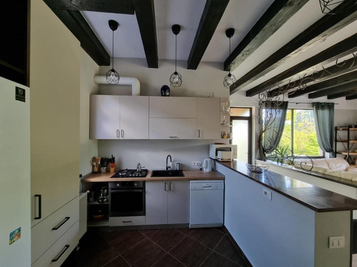 Casa Yla Villa Piatra Neamt Exterior photo